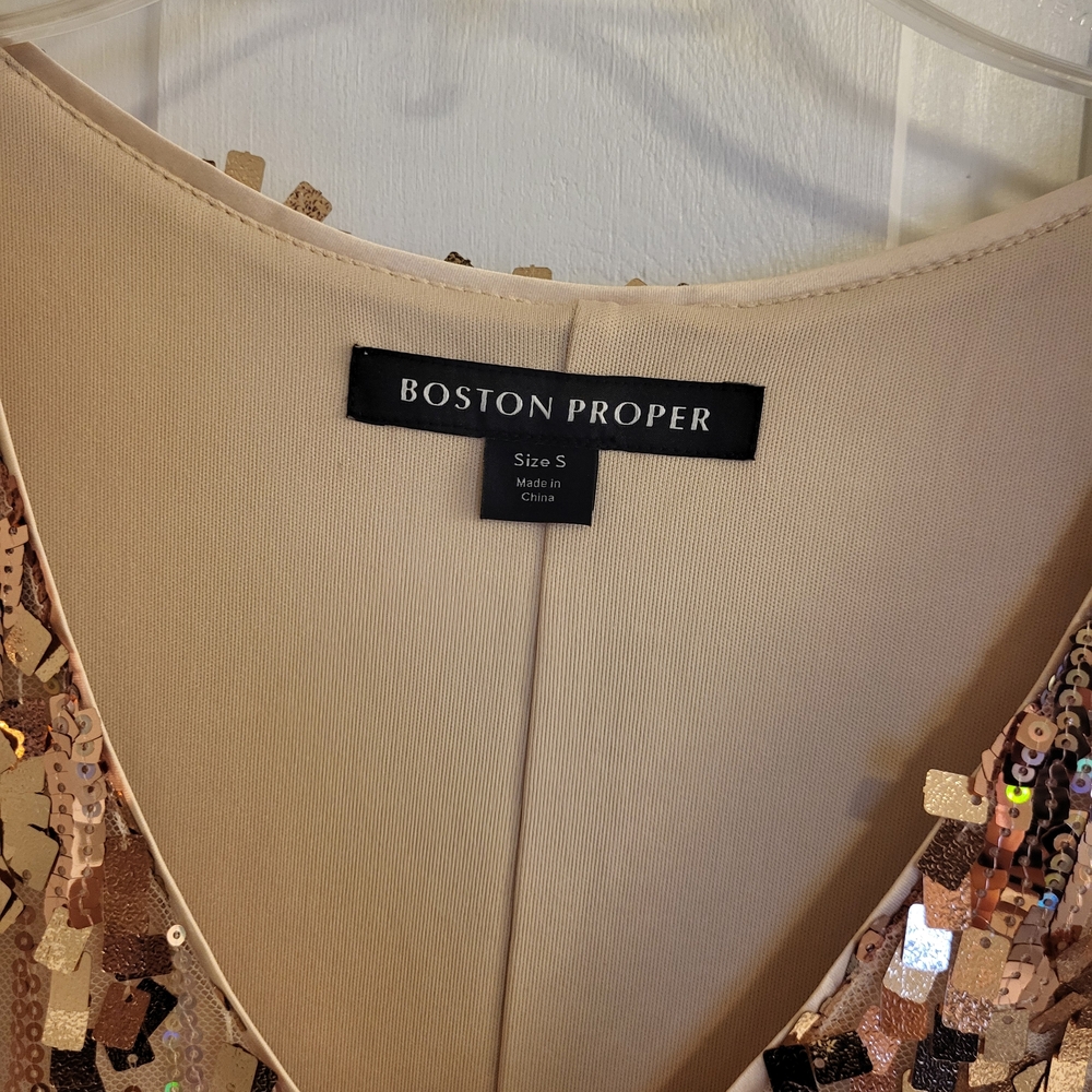 Boston Proper Sequin Dress